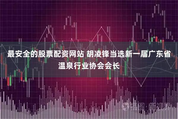最安全的股票配资网站 胡凌锋当选新一届广东省温泉行业协会会长